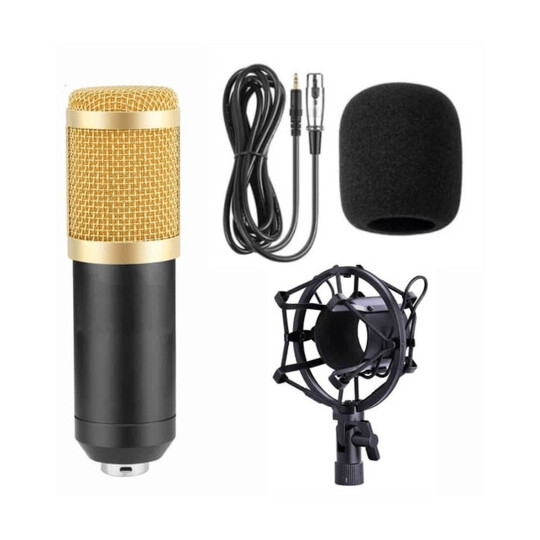 Microfone Profissional Unidirecional Com Suporte Andowl - 7451 