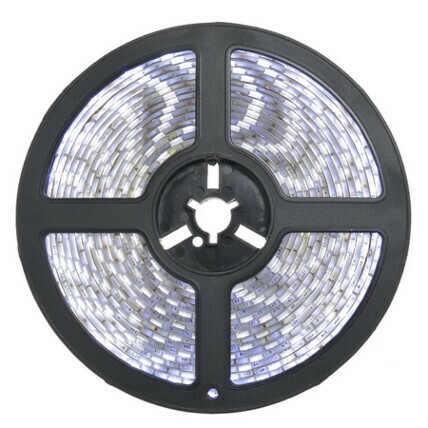 Fita de Led Branco Frio 5 Metros 12v 4.8w Bivolt LUX POWER - LUXE-3528BF