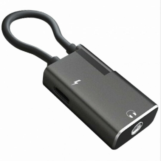 Adaptador P2 para iOS Lightning Sumexr - SX-ZJ1